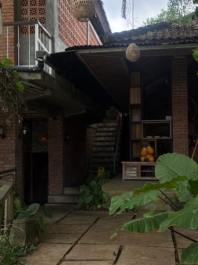 The image shows an outdoor scene at a cafe or restaurant in Tegallalang, Indonesia. The architecture features exposed brick walls, a tiled roof, and elements of natural materials like wood and woven bamboo. In the foreground, large green leaves of an elephant ear plant dominate the right side of the frame. A pathway made of large concrete slabs leads towards the building, with visible cracks and vegetation growing in them.
The building itself has multiple levels. On the upper level, a balcony with a white railing overlooks the scene, and decorative brickwork with floral patterns is visible. A drainage pipe extends from the balcony. Overhanging the lower level is a dark roof with visible tiles, partially covered by leaves and debris. Woven bamboo lanterns hang from the eaves, adding to the rustic ambiance.
The lower level reveals an entrance to the building, with a dark door and outdoor lighting fixtures on the brick walls. Adjacent to the entrance, a staircase with decorative tiled risers ascends. In front of the staircase, a rustic wooden cabinet with drawers stands, topped with several decorative orange gourds. Behind the cabinet, a tall shelving unit with wooden compartments is visible, containing some items, including a small Buddha statue. The overall environment is lush and green, with plants present throughout the scene, suggesting a tropical or subtropical climate. The ground is a mix of concrete and soil, with fallen leaves scattered around. The lighting suggests an overcast day.