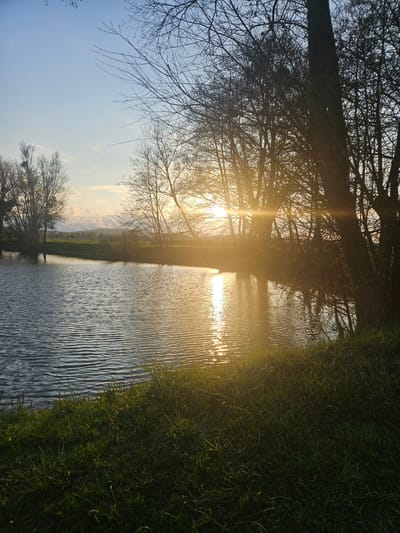 The image captures a river scene in Gavisse, France, with sunlight streaming through trees. The water's surface is rippled, reflecting the sun's glare. Grass borders the riverbank on the right. Trees, some bare of leaves, line the left side of the river. The sky appears pale blue in the lower left. In the distance, a field and faint hills can be observed. There is no evidence of human presence or activity.