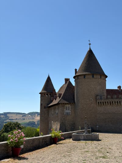 The image depicts a section of a stone castle with conical roofs against a clear blue sky. The castle appears to be made of rough-hewn stone blocks, with visible windows and architectural details like crenellations. Two conical towers, one larger and taller than the other, are prominent. The larger tower has a dark, textured roof, while the smaller one, positioned in the foreground, also has a dark roof.
In the middle ground, a stone fountain is visible with water spouting. The ground around the fountain is covered in gravel. Flower pots with pink flowers are placed on a low stone wall in the foreground, adding a touch of color to the scene. Behind the castle wall, rolling hills with agricultural fields and trees can be seen, suggesting a rural or countryside setting. The landscape is bathed in sunlight, indicating it is daytime.
The image is taken from a slightly elevated perspective, looking down on the landscape and across the castle's courtyard. The orientation of the image is portrait. No people are visible in the frame. The overall mood is serene and picturesque, highlighting the architecture and the natural surroundings. The context of Val-de-Virieu, France, suggests a historical and possibly a tourist location.
