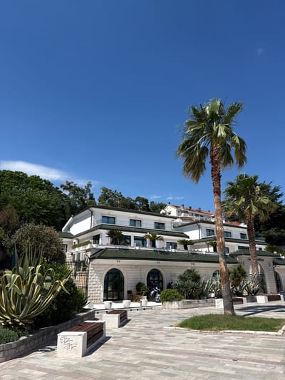 The image depicts a modern white building with green roofs and arched windows, set against a clear blue sky. The building is situated on a hillside, with lush green trees and vegetation surrounding it. In the foreground, two palm trees stand tall, their fronds swaying gently. Paved walkways and planters with exotic plants, including a large agave, complete the outdoor scene. Two concrete benches with wooden slats are placed on the walkway. In front of the building, a motorcycle is parked. The architecture suggests a hotel or a resort, likely in a warm climate. The location is identified as Herceg Novi, Montenegro, known for its coastal beauty and Mediterranean vegetation.