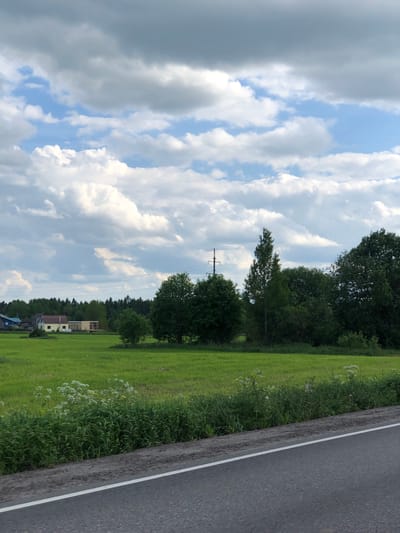 The image displays a tranquil rural landscape under a dynamic sky. On the right, a paved road with a distinct white line along its edge runs parallel to the viewer's perspective. Immediately bordering the road is a strip of dense green grass and various wildflowers, some with small white blooms. This roadside vegetation transitions into a broad, vibrant green field that stretches towards a distant treeline.
The treeline comprises numerous healthy, green trees, suggesting a forest or significant wooded area. In the middle ground, a utility pole with multiple wires extends across the scene, indicating infrastructure within the natural setting. Beyond the trees in the far distance, a few small buildings or houses are discernible, including one with a light-colored facade and another with visible wooden elements, hinting at a small settlement.
The sky above is a mix of clear blue patches and an array of white, fluffy cumulus clouds. Some larger, darker gray clouds are present, particularly towards the left side of the frame, suggesting a mix of sunny periods and cloud cover. The bright illumination indicates it is daytime, likely late morning or afternoon. No people or animals are visible, and there is no specific activity depicted. The scene captures the calm and open feel of the countryside, fitting the given context of Dyatlitsy, Russia. There is no visible text in the image.