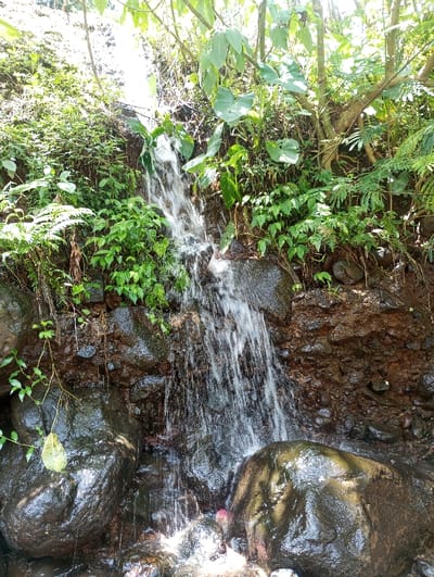 A small natural waterfall is depicted cascading over a rocky embankment in a verdant area of Cibeureum, Indonesia. Water flows vertically, approximately 1.5 to 2 meters in height, down dark, wet rock faces and soil. The surrounding environment is densely covered with various types of green foliage, including ferns, broad-leafed plants, and intertwining vines, suggesting a lush, natural habitat. Large, dark, glistening boulders are positioned at the base of the waterfall and in the foreground, with smaller rocks and pebbles visible within the water's path. A small piece of crumpled pink or red debris is present on a rock directly beneath the falling water in the lower-right quadrant. No human figures or artificial structures are visible. The scene is illuminated by bright, natural sunlight, casting reflections on the wet surfaces.