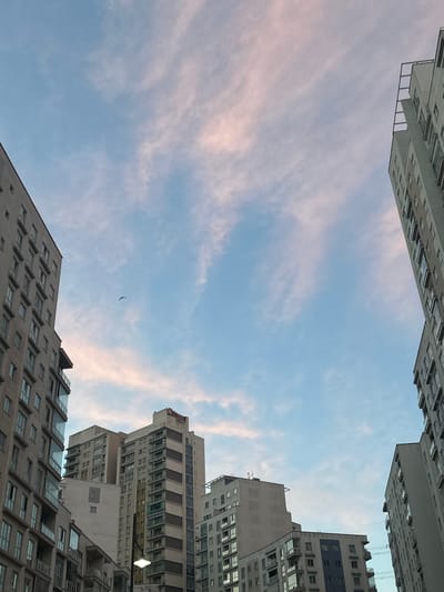 The image depicts a view looking upwards in a city, bordered by tall buildings. The sky is pale blue, streaked with thin, wispy clouds tinted pink. A single bird is visible in the center of the frame. The buildings are multi-storied, with numerous windows, constructed in a modern architectural style. The location is identified as Esenyurt, Turkey. There are no visible people, actions, or interactions in the image.