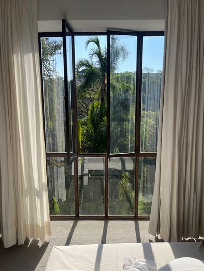 The image displays an interior room looking out through a large, multi-paned window in San Miguel Acapantzingo, Mexico. Light cream-colored curtains are drawn open on both sides of the window, revealing a dark-framed glass structure. One upper-left window pane is slightly ajar. Sunlight streams into the room, casting sharp, rectangular shadows from the window frames onto a light-colored floor and the white bedding of a bed partially visible in the foreground. Beyond the window, a lush, vibrant green landscape is visible under a clear blue sky, dominated by several tall palm trees with arched fronds and other dense foliage, including trees with hints of purple blossoms. The scene is brightly lit by natural light.