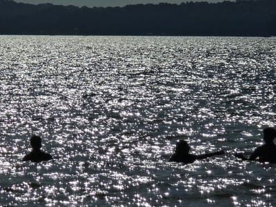 The image shows a wide shot of a body of water with a dark, silhouetted shoreline in the background. The water is very bright and sparkly due to the sun reflecting off the ripples. In the foreground, there are three silhouetted figures in the water. The figure on the far left appears to be a person standing with their head and shoulders visible. To the right of this figure, another silhouetted figure is visible, also with their head and shoulders above the water. To the right of that, a third silhouetted figure is visible. This figure has their arms extended and appears to be reaching out towards something. The overall impression is of people enjoying a sunny day at the water's edge. The location is the city of Flowery Branch, United States of America.