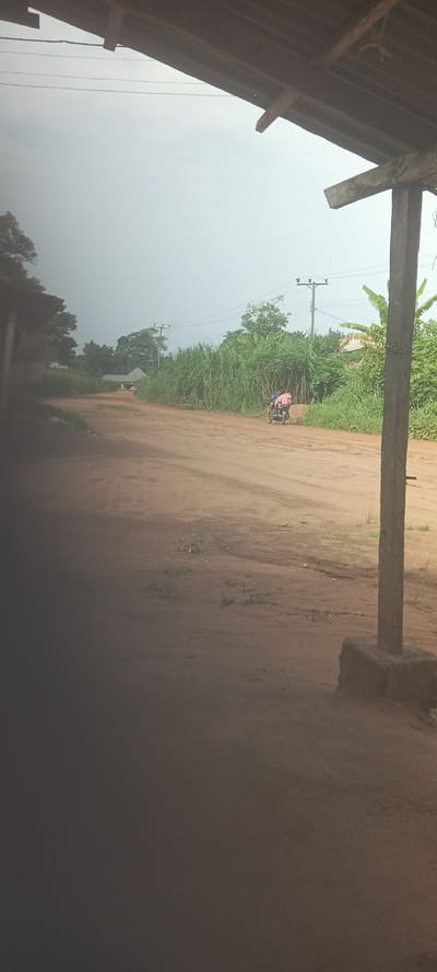 The image depicts a dirt road in Amauzu, Nigeria, under a cloudy sky. The view is partially obstructed by a wooden structure in the foreground. Further down the road, a person on a motor vehicle is transporting at least one other person. Vegetation, including tall grasses and trees, lines the roadside. Utility poles with power lines are visible in the distance. Buildings are also present along the road, but are far off.