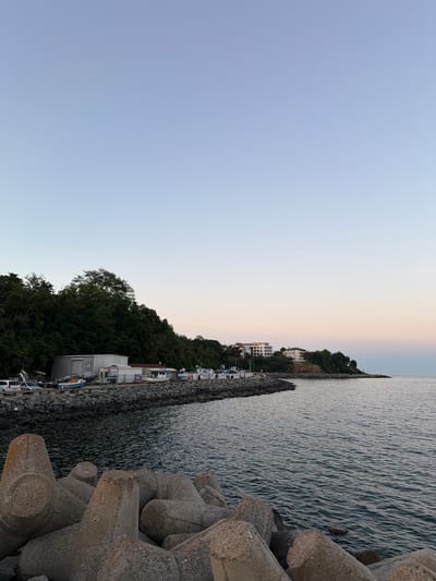 The image shows a scenic view of a coastline in Primorsko, Bulgaria, at what appears to be dusk or early dawn. The sky transitions from a pale blue to a soft pink and peach hue near the horizon, indicating a time of day with minimal direct sunlight. The sea is calm, with gentle ripples on its surface, reflecting the muted colors of the sky.
In the foreground, a series of large, concrete tetrapods line the edge of the water, serving as a breakwater. These are a prominent object in the image, suggesting a developed coastline or harbor area.
Beyond the tetrapods, a rocky embankment leads up to a hillside densely covered with lush green trees. Several buildings are visible nestled within the greenery and along the waterfront, including a white multi-story building that might be a hotel or residential complex, and other smaller structures that appear to be part of a marina or small port. Numerous boats are docked along the shoreline, adding to the impression of a functioning harbor.
There are a few people visible near the boats and along the waterfront, suggesting a gentle human presence. The overall atmosphere is peaceful and serene, capturing the tranquil beauty of a coastal landscape at the transitional hours of the day. No discernible text is visible in the image.