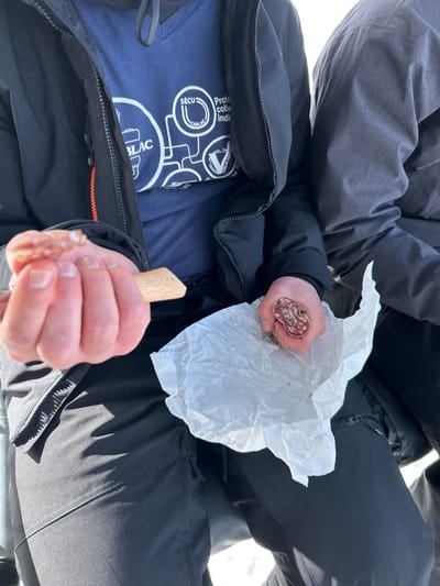 The image depicts two individuals engaged in an outdoor activity in Villard-sur-Doron, France. A central figure, dressed in a black unzipped jacket over a dark blue V-neck t-shirt featuring white graphics partially legible as "SÉCU CABLE" and "Protec collective individu," holds a thin slice of cured sausage between the thumb and forefinger of their left hand. A small wooden paddle is also held in their left hand. The individual's right hand grasps a larger segment of cured sausage, which rests on crumpled white paper on their lap. A second individual is partially visible to the right, wearing dark clothing. The scene is illuminated by bright sunlight, casting distinct shadows on the garments, and the visible ground surface at the bottom of the frame is light-colored.
