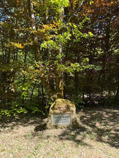 A weathered memorial stone is nestled amongst trees and foliage. A plaque affixed to the stone reads "Johnny Gaub, Naturfreund, 1927-1984". The location is likely a forested area in Pétange, Luxembourg.