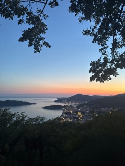 A panoramic view of the city of Budva, Montenegro, is captured at dusk. The scene is framed by dark, silhouetted tree branches in the foreground, obscuring parts of the sky and the landscape below. The sky transitions from a deep blue at the top to soft hues of pink and orange near the horizon, indicating the last light of the setting sun.
Below the sky, the calm sea stretches out, reflecting the ambient light. Several islands or peninsulas dot the water, with lights from structures visible on them. The coastline features the city of Budva, a dense collection of buildings illuminated by numerous lights, creating a network of illuminated streets and structures. Hills and mountains form a dark, undulating backdrop to the city. The overall impression is a serene, twilight view of a coastal city.