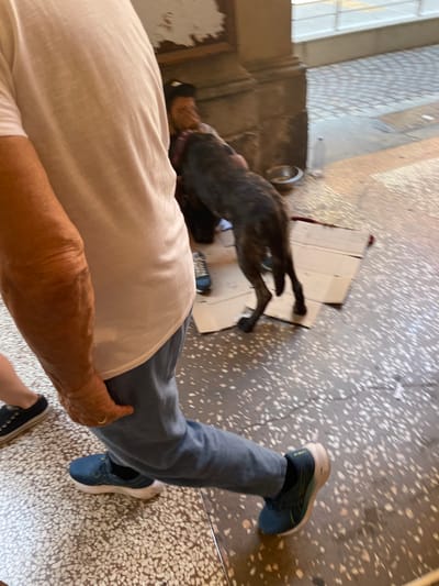 The image shows a first-person perspective of someone standing indoors, likely in a hallway or entrance area. The floor is covered in patterned tiles, and there is a dog lying on a piece of cardboard nearby. The person is wearing light blue jeans and navy running shoes. The dog appears to be brown and black and is lying on its side. The image suggests a casual, unplanned moment, potentially taken by someone who encountered the dog in this location. Based on the presence of patterned tiles, building materials, and street style, it is most likely a hallway or entrance area in Bologna, Italy.