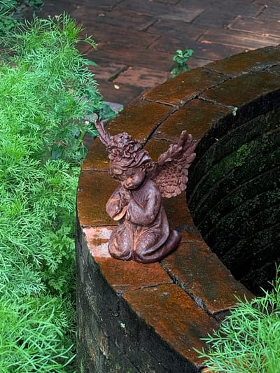 A small, weathered statue of a cherub with wings sits on the edge of a dark, moss-covered brick structure, possibly a well or planter, in an outdoor setting. The cherub is depicted in a kneeling or seated position, with its hands clasped in front of it as if in prayer. The statue is reddish-brown and appears to be made of metal or cast stone, with visible signs of rust and age. Lush green foliage, characterized by feathery, dill-like leaves, surrounds the structure on the left and bottom edges of the frame. In the background, the surface of the brick structure is visible, showing a pattern of rectangular bricks that are wet and textured with moss and dirt. The overall impression is one of a tranquil, perhaps slightly neglected, garden or outdoor space. There is no indication of the specific location within Chiang Mai City Municipality, Thailand, beyond it being an outdoor scene.
