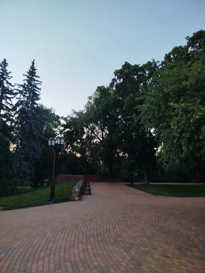 This media file depicts an outdoor scene in a park, possibly in Chernihiv, Ukraine, during twilight. The sky is a clear, pale blue, suggesting the transition from day to night. The foreground is dominated by a winding pathway paved with light brown and gray interlocking bricks, arranged in a curved pattern.
To the left of the pathway, a tall, dark lamppost with two white lanterns stands prominently. Beyond the lamppost, a lush green lawn stretches out, bordered by a dense line of trees. Among these trees are several tall, dark green evergreen trees, one of which is particularly prominent on the left. Further back, a wall made of reddish-brown bricks is visible, and a bench with a dark metal frame and wooden slats is situated against it.
The background features a variety of deciduous trees with full canopies of dark green leaves, creating a sense of depth and a natural backdrop. The overall mood of the image is peaceful and serene, typical of a quiet evening in a park. The lighting suggests it is dusk or early evening, as the sky is still illuminated but the natural light is fading. No people are visible in the image, and no text is present.