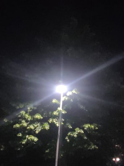 This image depicts a dimly lit outdoor scene at night, likely in Smolyan, Bulgaria. The primary light source is a bright, overexposed streetlamp in the upper center of the frame, casting prominent light rays that flare outwards. Beneath and to the left of the streetlamp, illuminated by its glow, are branches and leaves of a tree, appearing green and slightly blurred. A thin, vertical pole, likely part of the streetlamp structure, extends downwards. The background is predominantly dark, suggesting foliage and the night sky. In the lower right corner, a faint, warm light suggests another distant light source, possibly a smaller lamp or window. No people are visible in the image.