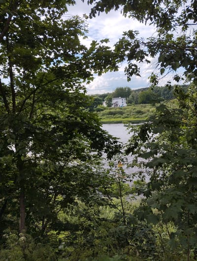 The image depicts a serene natural landscape with a body of water in the mid-ground, bordered by lush greenery and trees. In the distance, a white building with multiple windows is visible atop a gentle slope, surrounded by dense foliage. The sky above is partially clouded, suggesting fair weather. The foreground is dominated by the branches and leaves of trees, creating a natural frame for the scene. The overall impression is one of a tranquil, picturesque setting, likely a park or a riverside area within the city of Kingisepp, Russia.