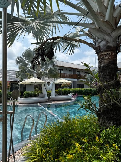 A scene depicts a swimming pool area at a resort in Phú Quốc, Vietnam. The pool has clear blue water and metallic ladders for access. Adjacent to the pool, there are white lounge chairs with umbrellas offering shade. Lush tropical vegetation surrounds the pool, including various plants and trees. In the background, part of the resort building is visible with balconies and a tiled roof. A tall palm tree with large fan-shaped leaves dominates the left side of the frame, partially obscuring the sky with scattered clouds.