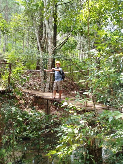 A man wearing a yellow hard hat and light blue t-shirt stands on a wooden suspension bridge in a forest in Da Lat, Vietnam. He is holding onto the bridge's ropes with both hands. The bridge has wooden planks for the walkway and metal railings. The surrounding environment is dense with lush green trees and foliage, and sunlight filters through the leaves. A small stream is visible below the bridge.