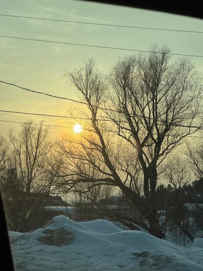 This image depicts a winter landscape in Ir'yak, Russia, observed through a vehicle window during either sunrise or sunset. The sky presents a gradient from a bright orange-yellow at the horizon, where the sun is partially obscured by tree branches on the mid-left, to a pale green-blue overhead. Multiple horizontal power lines are visible across the upper sky. The midground and background are dominated by numerous leafless deciduous trees, their dark, intricate branches silhouetted against the bright sky. The foreground consists of irregular snowdrifts, some displaying patches of brownish discoloration. In the distant background, residential structures and a line of evergreen trees are partially visible through the tree cover. No individuals or specific actions are observable within the scene.