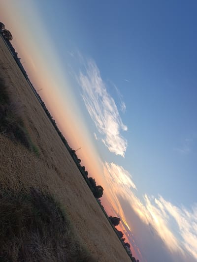A low-angle, full shot captures a wheat field at sunset, tilted diagonally across the frame. The sky transitions from a deep blue at the top to a soft orange and pink near the horizon, filled with wispy white clouds. A thin contrail from an airplane is visible in the upper right quadrant. Silhouetted trees and utility poles line the far edge of the field. The field itself is a muted golden-brown, with darker patches of grass and shadows on the left. The scene appears to be in the rural outskirts of Viadana, Italy.