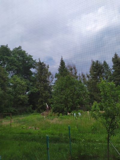 The image depicts a rural scene with lush greenery under a cloudy sky. In the foreground, a wire mesh fence runs horizontally across the frame. Behind the fence, a grassy field is dotted with wildflowers, including a patch of pink flowers. A small tree stands to the right of the frame. In the mid-ground, a rudimentary metal fence structure is visible, and further back, a white structure resembling a small windmill stands on a raised earthen platform. Various trees, including deciduous and coniferous varieties, form a dense backdrop, with some showing signs of wilting or damage at their upper extremities. In the far background, glimpses of what appear to be white plastic bags are visible among the vegetation. The overall impression is one of a natural, somewhat untamed outdoor setting, likely a backyard or garden area. The image was taken in the city of Turka, Ukraine.