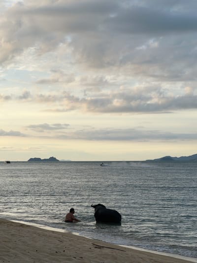 The image depicts a serene beach scene at Baan Tai, Thailand. The sun is low in the sky, casting a warm glow and suggesting either sunrise or sunset. The weather appears calm and pleasant.
The foreground shows a sandy beach with a gentle slope leading into the sea. The water is calm with small waves lapping at the shore. In the middle ground, a person is visible partially submerged in the water, facing away from the camera. Their posture suggests they are either sitting or kneeling. A dark, amorphous object, possibly a piece of driftwood or a large rock, is situated near the water's edge, further up the beach. In the background, a silhouetted mountainous landscape forms the horizon, with the vast expanse of the ocean stretching out before it. The sky is filled with soft, diffused clouds, reflecting the colors of the low-lying sun. The overall mood of the image is peaceful and tranquil, capturing a quiet moment by the sea. There is no visible text in the image.