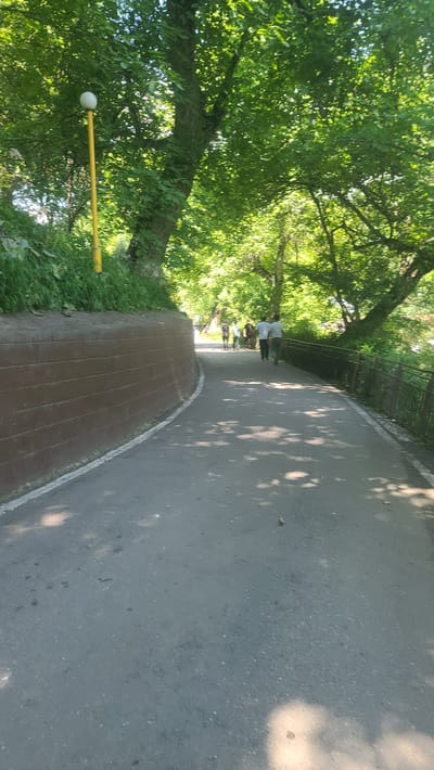 A paved pathway curves through a park in Arstanbap, Kyrgyzstan, shaded by dense green trees. A retaining wall with horizontal brown planks lines the left side of the path. A yellow lamppost with a white globe is visible on the left, near the top of the retaining wall. In the distance, several figures walk along the path. The ground is dappled with sunlight and shadows. A metal fence runs along the right side of the pathway.