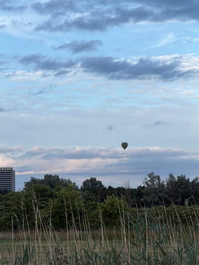 An aerial view of a hot air balloon is captured in the sky above the city of 's-Hertogenbosch, Netherlands. The balloon, a spherical object, is suspended in the air and appears to be green and yellow in color. In the foreground, tall grasses and reeds dominate the landscape, suggesting a natural or park-like setting within the city. Behind the vegetation, a dense line of trees forms a green barrier, typical of urban parkland or nature reserves found in 's-Hertogenbosch. Further in the background, a tall, rectangular building stands out against the treeline, indicative of the urban development present in the city. The sky above is a canvas of soft blue, intermittently covered by wispy, grey clouds, suggesting a slightly overcast or transitioning weather condition, common in the Netherlands.