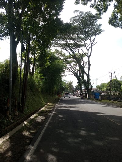This image captures a daytime scene on a paved two-lane road in Domphoog_Dungkarchhoeling, Bhutan, oriented towards the distant horizon. The asphalt road surface features a solid white line delineating its left edge and is extensively covered by dark, irregular shadows cast by overhead trees.
On the left side of the road, a steep, green-vegetated embankment rises, bordered by a concrete gutter. Multiple dark utility poles with visible overhead wires stand along this embankment, partially obscured by dense foliage. Further down, a small, dark brown booth-like structure is discernible.
The right side of the road is also flanked by tall, mature trees with full canopies. In the middle distance, a white minivan travels away from the viewer in the right lane. Beyond the minivan, a cluster of vehicles, including several motorcycles or scooters, are visible along the road shoulder. A blue tarp-covered structure and what appears to be a bridge barrier are also present on the right, followed by a cluster of buildings or other structures in the far distance. Utility poles and power lines are visible on this side as well. The sky above is bright, suggesting clear weather. No identifiable individuals are present.