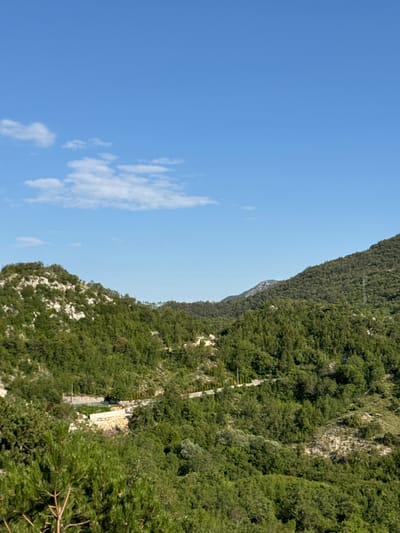 This image depicts a verdant, hilly landscape under a clear blue sky with scattered white clouds. The scene is dominated by dense green foliage covering the rolling terrain, suggesting a natural, possibly mountainous environment. In the mid-ground, a winding road is visible, flanked by stone walls and some sparse vegetation. There are also structures that appear to be houses or buildings partially obscured by trees, hinting at human habitation within this natural setting. The overall impression is one of a peaceful, sun-drenched day in a rural or semi-rural area. The location is identified as Brajici, Montenegro.