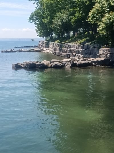This image depicts a scenic view of the Lake Ontario shoreline in Oakville, Canada. The foreground is dominated by calm, greenish-blue water with subtle ripples. Along the middle ground, a man-made rock wall, constructed from large, rough-hewn stones, borders the water's edge. This wall extends outwards, forming a breakwater or pathway. Beyond the rock wall, the water stretches towards a distant horizon where a faint outline of land and structures can be seen under a hazy, blue sky with scattered white clouds. Lush green trees line the top of the rock embankment, their foliage creating a dense canopy. The overall scene suggests a peaceful, natural environment enhanced by human landscaping along the waterfront.