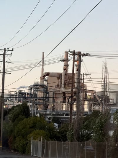 The image depicts an industrial facility, possibly a refinery or chemical plant, located in Rodeo, California, USA. The sky is overcast, suggesting either early morning or late evening light. Dominating the scene are various structures of the plant, including smokestacks, pipes, and multi-story buildings with complex metal frameworks. Power lines and wooden utility poles crisscross the sky in the foreground and midground, obscuring parts of the industrial complex. Dense green foliage and trees are visible at the bottom of the frame, interspersed with chain-link fencing. There are no people visible in the image. The overall impression is one of heavy industry set against a natural backdrop, with the utility infrastructure playing a significant role in the composition.