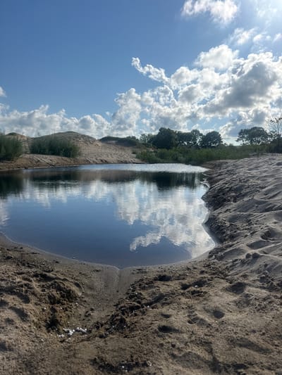 The image depicts a small, dark body of water nestled within sandy dunes, likely a natural pond or a lagoon. The water's surface is still, reflecting the bright blue sky and fluffy white clouds above. Lush green vegetation and trees are visible on the far bank, contrasting with the sandy terrain that surrounds the water. The foreground is dominated by the textured sand of the dune, with some scattered white specks, possibly shells or small stones. The scene evokes a sense of natural tranquility, suggesting a remote or undeveloped coastal area. This location is highly suggestive of the sand dunes and small water bodies found near the southern Black Sea coast of Bulgaria, specifically in the vicinity of Primorsko, an area known for its natural beauty and protected landscapes.