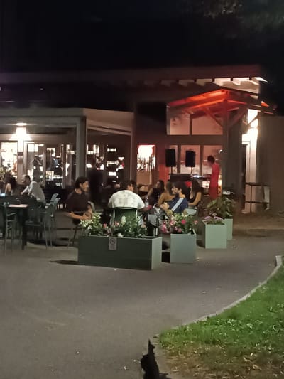 This image depicts an outdoor seating area at a venue, likely a restaurant or bar, in Viadana, Italy, during nighttime. Several groups of people are seated at tables, engaged in conversation and enjoying themselves. The lighting is dim, with warm illumination emanating from the building's interior and a red-lit canopy over an outdoor section.

In the background, a person in a red outfit appears to be operating DJ equipment, with two speakers set up. The overall atmosphere suggests a relaxed social gathering. The setting includes outdoor tables and chairs, with planters filled with flowers providing decorative elements. The ground is paved, and a grassy area is visible on the right. The time of day is clearly night, and the weather appears to be clear. The emotions conveyed are generally positive, with people appearing comfortable and social. No visible text is discernable in the image.