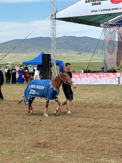 In Kokorino, Russia, a young man in a black t-shirt and shorts leads a brown horse, adorned with a blue blanket that reads "Наадан - 2026", across a dirt and grass field. The horse has white markings on its legs and a blue halter. In the background, a crowd of people dressed in traditional and modern attire are gathered near a blue tent and a stage structure adorned with banners. The scene suggests an outdoor event or festival, likely a competition or celebration involving horses. The terrain is rural, with rolling hills and a clear sky.
