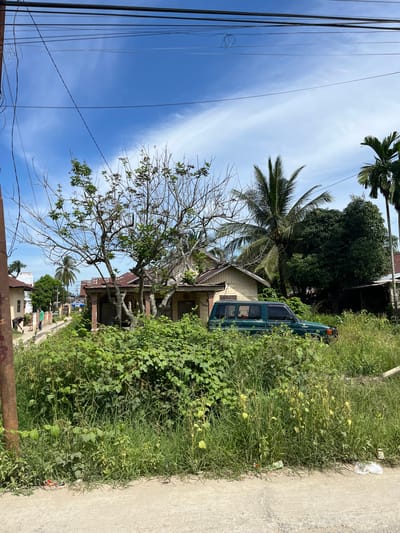This is a vertically oriented photograph taken in Dalam, Indonesia, likely during the daytime under a clear, blue sky with wispy clouds. The scene depicts a somewhat overgrown residential area.

In the foreground, on the right side, a concrete path runs alongside a dense patch of greenery. The vegetation is a mix of tall grasses and climbing vines, some of which bear small, light-colored fruits. To the left of the path and vegetation, a dark green van is partially visible, parked amongst the foliage. Behind the van and to the left, a light-colored house with a brown roof is seen. A leafless tree with a gnarled trunk and branches stands prominently in front of the house. Further in the background, more houses and trees, including palm trees, are visible.

In the distance, a street is visible with a few people walking. One person is seen in the foreground of the street, seemingly engaged in some activity. The overall impression is of a warm, possibly humid environment, given the lush vegetation and the style of the buildings. The presence of electrical wires overhead suggests a developed, albeit rustic, area. There is no visible text in the image.