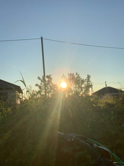 The image depicts a sunset scene, likely in a rural or suburban area of Gvardeysk, Russia. The sun is low on the horizon, casting long rays of light through trees and vegetation. In the foreground, a portion of a bicycle handlebar is visible. To the left and right, houses with dark roofs are partially obscured by foliage. A utility pole with power lines runs across the upper portion of the frame. The sky is clear and a pale blue, transitioning to a warmer hue near the sun. The overall impression is one of a quiet, evening rural landscape.