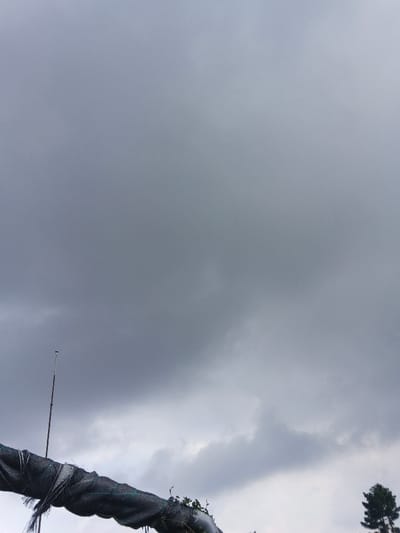 A gray sky dominates the scene, filled with thick clouds. A dark, textured net with green trim is visible in the lower left. A thin pole extends upwards into the sky. In the lower right corner, a tall, dark green tree can be seen. The overall mood of the image is somber and overcast.