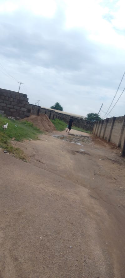 The image depicts an outdoor scene in Suleja, Nigeria, under an overcast sky. A dirt road dominates the foreground, showing signs of wear with scattered puddles and uneven patches. To the left of the road, a patch of green grass is visible, with a pile of sand next to it. A white and brown duck stands on the grass. Further down the road, a person in dark clothing is walking away from the camera, carrying a light-colored object in their right hand.
Along the sides of the road, walls constructed from concrete blocks or similar materials form a boundary. On the left, a section of a block wall is incomplete, revealing the raw construction. On the right, a more finished wall, also made of blockwork, extends into the distance. In the background, trees can be seen behind the walls, suggesting a semi-urban or rural environment. Utility poles with power lines are also present, hinting at infrastructure. The overall impression is of a somewhat undeveloped area, possibly undergoing construction or renovation, with everyday life continuing as a person walks along the road. The weather appears to be cloudy or preparing for rain, contributing to a subdued atmosphere. No text is visible in the image.