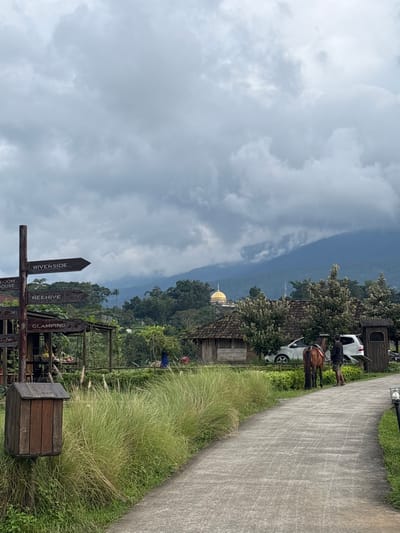 An outdoor scene in Tamiajeng, Indonesia, is captured under an overcast sky filled with heavy grey clouds. In the distant background, large, dark green mountains are partially obscured by haze. A prominent golden dome structure rises above the tree line in the mid-distance, nestled amidst dense green foliage and hills.
In the foreground, a light-grey paved pathway, likely concrete, curves from the lower right towards the center-left. The left side of this path is bordered by tall, light-green grass. A rustic, dark brown wooden signpost stands on the left, featuring multiple directional arrows pointing to "RIVERSIDE," "BEEHIVE," "ROOM HOUSE," and "GLAMPING." Below the signpost, a small wooden box-like structure is attached to a post.
On the right side of the paved path, a brown horse with a saddle is standing, facing away from the viewer. A male individual, dressed in dark shorts and a dark short-sleeved shirt, stands next to the horse, appearing to attend to it. Behind them, a white multi-purpose vehicle is partially visible, parked near a rustic wooden building with a dark tiled roof. Other similar wooden structures are scattered in the mid-ground. Further back on the left, a person in a blue garment is faintly visible near other structures. Two dark, short outdoor lamp fixtures are positioned along the right edge of the paved path.