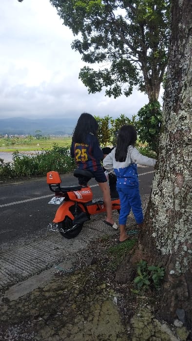 The image depicts two young individuals, likely children or pre-teens, standing by a roadside in Panjalu, Indonesia. They are positioned next to a large, textured tree trunk and an orange electric motorcycle.
On the left, one person, seen from behind with long dark hair, wears a dark blue and red striped long-sleeved shirt with the number "25" visible on the back. They stand beside an orange electric scooter or motorcycle, which has black wheels and a black seat. White text, possibly "ECOX," is faintly visible on the side of the motorcycle, and its license plate is present but unreadable.
To the right, another person, also with long dark hair, wears a light grey hoodie and blue pants with white patterns. This individual is leaning against the prominent, lichen-covered trunk of a large tree. Both individuals appear to be barefoot or wearing minimal footwear.
The setting is outdoors during the daytime under a cloudy sky. The foreground shows a paved road or path. Beyond this, a panoramic view of a rural landscape unfolds, featuring green fields, possibly rice paddies, stretching towards distant mountains or hills. The scene evokes a sense of a peaceful roadside stop in a natural, scenic environment.