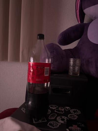 The image shows a still life composition. A partially consumed 2-liter bottle of Coca-Cola lies horizontally. A patterned glass rests on top of a black plastic container. A large purple stuffed animal is present. A laptop with stickers sits behind the container. The location is not discernible. The city of Kuklen, Bulgaria cannot be confirmed.