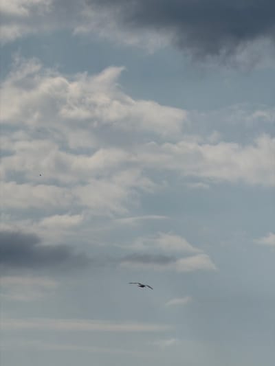 The image depicts a cloudy sky, possibly in the late afternoon or early evening, given the muted light and the presence of both dark and lighter clouds. The clouds are varied, with some appearing wispy and translucent, while others are more opaque and dramatic, suggesting a dynamic weather system. A single bird is captured in mid-flight, its wings outstretched. The bird is small in the frame, emphasizing the vastness of the sky. There are no visible human subjects, man-made objects, or explicit location cues beyond the general environment of an open sky. The mood is somewhat serene yet also hints at the power of nature, with the interplay of light and shadow in the clouds. No text is visible in the image.
