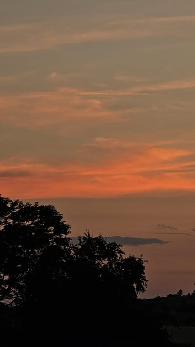This image depicts a sunset with a gradient of warm colors in the sky, ranging from soft orange to a muted grey. Silhouetted trees dominate the foreground, with their dark forms contrasting against the colorful sky. In the background, a faint outline of rolling hills can be seen, with distant trees adding to the landscape. The location is the city of Roßleben, Germany. The scene is devoid of human presence or activity.