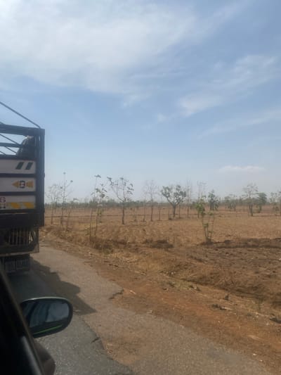 This image depicts a dry, open landscape in Aboro, Nigeria, viewed from the interior of a vehicle. On the far left, a portion of a dark-colored, possibly black, truck with white and yellow markings and a visible "DAF" logo on its rear is present. The truck casts a distinct shadow onto the adjacent asphalt road. The paved road, which shows signs of cracking and minor deterioration, curves slightly to the right, extending towards the midground. To the right of the road lies an expanse of dry, tilled, reddish-brown earth, characterized by visible furrows or ridges, suggesting agricultural preparation during a dry period. Numerous trees, many appearing deciduous with bare branches, are scattered across this field, forming an irregular line in the midground. A few trees exhibit sparse green foliage. The background consists of a clear, light blue sky with scattered, wispy white clouds. No individuals or specific interactions are discernible within the frame. The immediate foreground on the lower left reveals a dark vehicle frame and a side mirror, reflecting a light-colored shape.