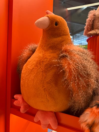 The image shows a close-up, head-on view of an orange plush toy, possibly a kiwi or a stylized bird, with a light-colored beak and textured brown and orange fur on its wings. Its pink feet are visible, resting on an orange shelf. The background is a solid orange wall, with a hint of a display or other merchandise to the right, including what appears to be another plush toy with light brown fur. The lighting suggests an indoor retail environment. The location is stated to be in the city of Málaga, Spain.
