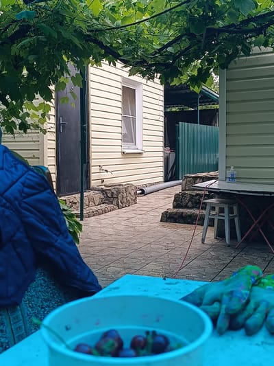 A first-person perspective shot captures a domestic outdoor setting. In the foreground, a white plastic bucket filled with dark red fruit, likely cherries, sits on a light blue surface. Next to the bucket, a pair of colorful gardening gloves rests on the surface. The background reveals a paved patio area, with a building constructed of horizontal, pale yellow siding dominating the scene. This building has a dark door with a silver handle and a small window with a white frame. To the right, another building with light green siding is partially visible. Between the two buildings, a green metal fence is situated. Overhead, dense green grapevines with large leaves create a canopy, casting shadows across the scene. A small white stool and a metal table are visible near the green fence, with a bottle of hand sanitizer on the table. The overall impression is that of a casual outdoor activity, possibly harvesting or preparing fruit, within a residential yard in Ostrogorka, Russia.