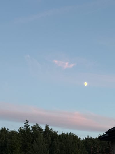 The image captures a twilight sky with a pale blue hue, transitioning towards dusk. A faint, crescent moon is visible in the upper right quadrant of the sky, emitting a soft, yellow glow. Wispy clouds, tinged with a soft pink and orange, streak horizontally across the frame, suggesting the last vestiges of daylight.
On the right side of the image, the dark silhouette of a dense evergreen tree dominates the lower portion, its branches reaching upwards towards the sky. A portion of a dark-tiled roof and some red scaffolding are visible above the tree line, indicating a building or structure nearby.
The scene appears to be set in a natural or semi-rural environment, likely in Vnukovo, Russia, given the context. The overall mood is serene and peaceful, evoking the quiet transition from day to night. There is no visible text in the image.