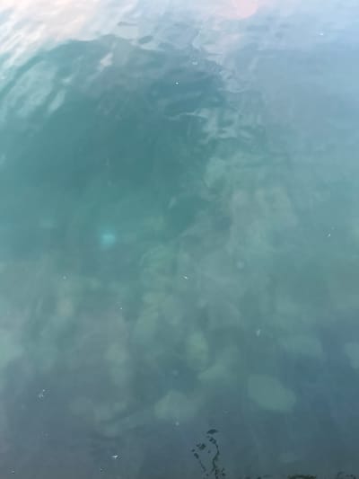 The image shows a close-up view of the surface of the water, likely a body of water in Novorossiysk, Russia. The water is a deep teal color and appears to be somewhat murky, with shadows and lighter patches suggesting submerged objects or variations in depth. Sunlight reflects off the rippling surface, creating a distorted, shimmering effect. There are a few small white specks visible, which could be debris or small particles in the water. The overall impression is of a calm, natural water scene, possibly a bay, harbor, or river.