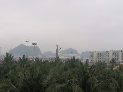 This image presents a hazy, overcast view of a coastal scene in Bai Chay Ward, Vietnam, characterized by layers of natural foliage, modern structures, and distinctive geological formations.
In the immediate foreground, a dense canopy of lush, dark green palm fronds dominates the lower portion of the frame, suggesting a tropical or subtropical environment. Their broad leaves create a vibrant, textured barrier that partially obscures the midground.
Beyond the palm trees, in the midground, several human-made elements are visible. A large, white cruise ship, possibly a passenger liner, is prominently docked or anchored. A blue emblem or logo is faintly discernible on its funnel, though specific text is not legible. Nearby, a tall construction crane stands, possibly indicating ongoing development or activity at a port. To the right, a cluster of modern, multi-story white buildings with multiple balconies are seen, likely part of a resort complex or residential area, with a colorful, illegible sign on one facade. Tall light poles are also scattered across this section.
The background is defined by the iconic karst limestone mountains or islands, characteristic of the Ha Long Bay area. These rugged, forested peaks appear muted and somewhat indistinct due to the pervasive atmospheric haze or fog, which gives the entire scene a soft, diffused light quality. The sky above is uniformly grey and overcast, contributing to the muted color palette.
The image captures a tranquil daytime scene, devoid of explicit human activity or people, focusing instead on the blend of natural beauty and urban development against a misty backdrop.