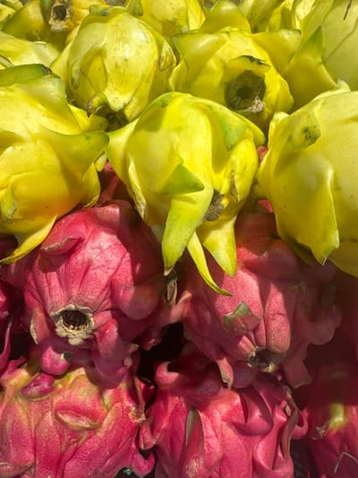 The image shows a close-up of a pile of dragon fruits, also known as pitayas. Some of the fruits are yellow, while others are pink/red. The photo appears to be taken in bright, natural light. It is taken in the city of Ungasan, Indonesia. The dragon fruits show some minor blemishes and imperfections. The fruits are densely packed together.